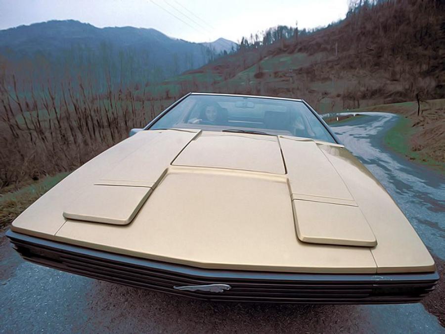  Jaguar Ascot Concept 1977 года  (фото 13 из 16)